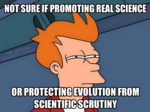 Fry.Evolution
